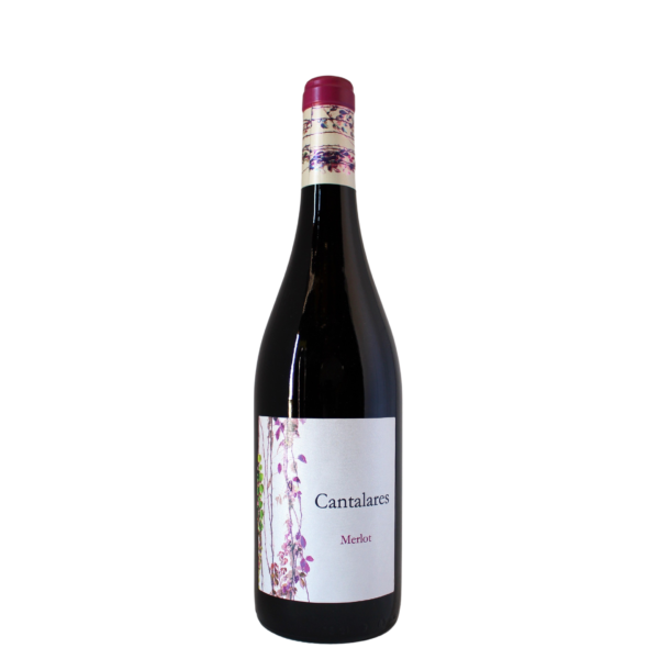 Foto Cantalares Merlot